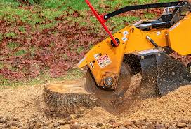 Best Commercial Tree Services  in , CT